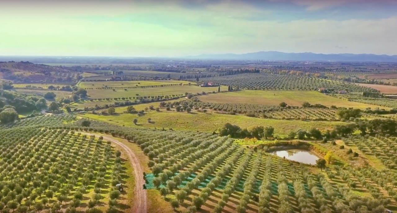 Agriturismo La Fonte Grosseto Ngoại thất bức ảnh