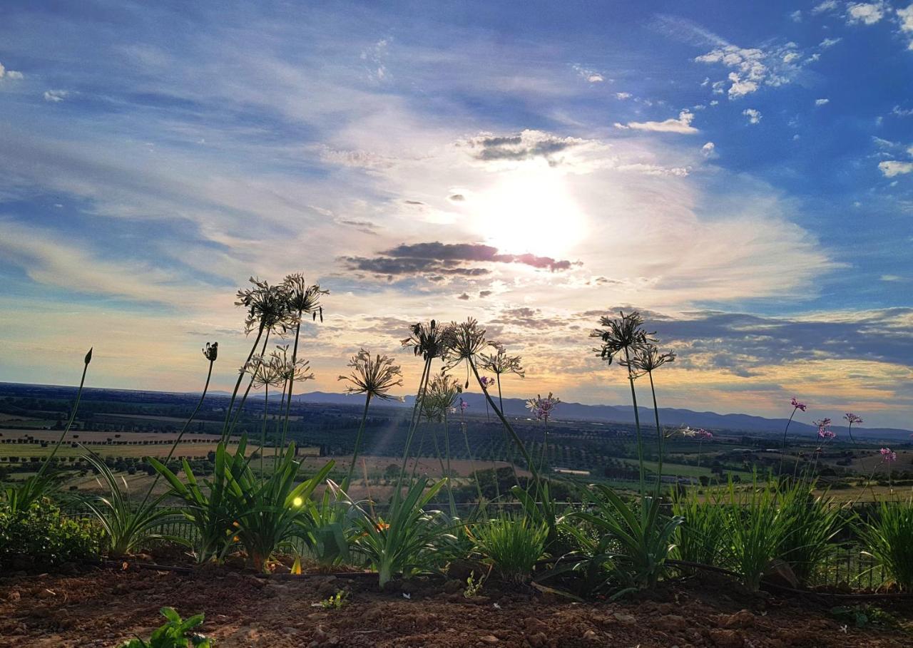 Agriturismo La Fonte Grosseto Ngoại thất bức ảnh